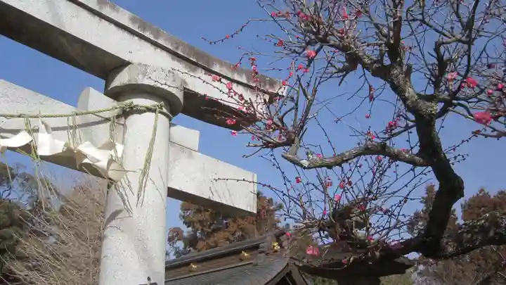女化神社(茨城県)