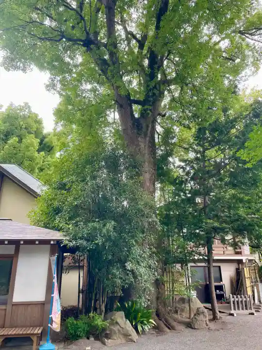 阿佐ヶ谷神明宮(東京都)