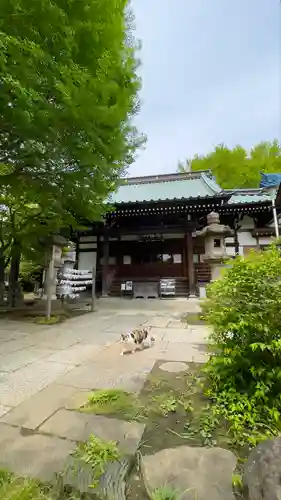 正受院の本殿・本堂