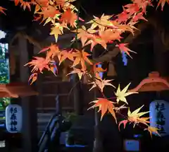 杉森神社の自然