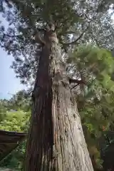 日枝神社(岐阜県)