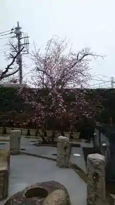 法蓮寺(東京都)