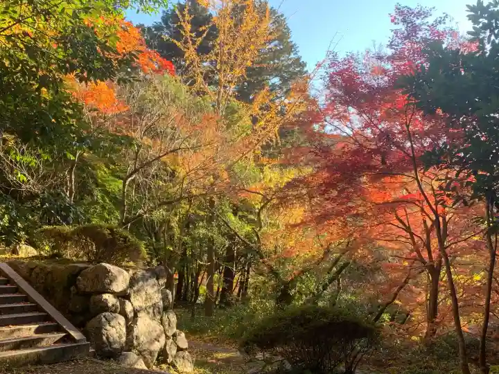 観心寺(大阪府)