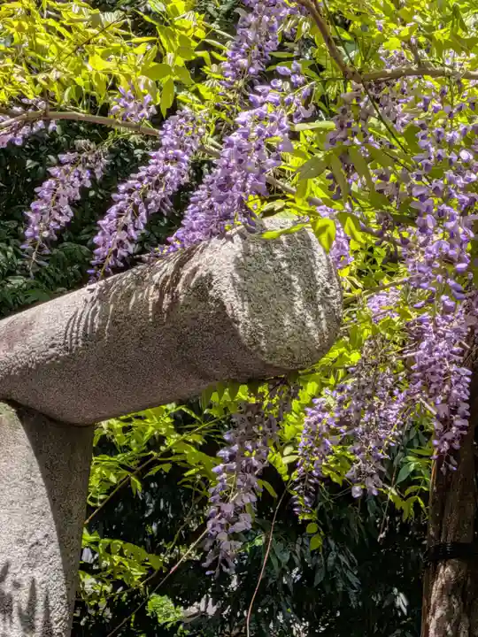 藤神稲荷神社(東京都)