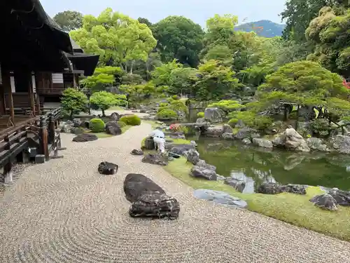 醍醐寺(京都府)