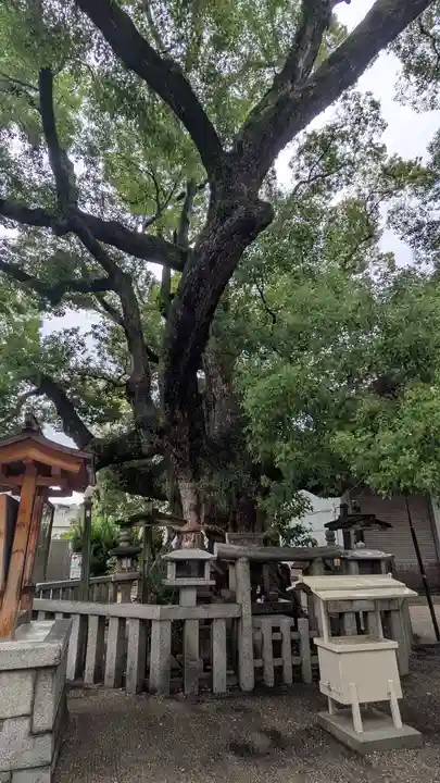 杭全神社(大阪府)