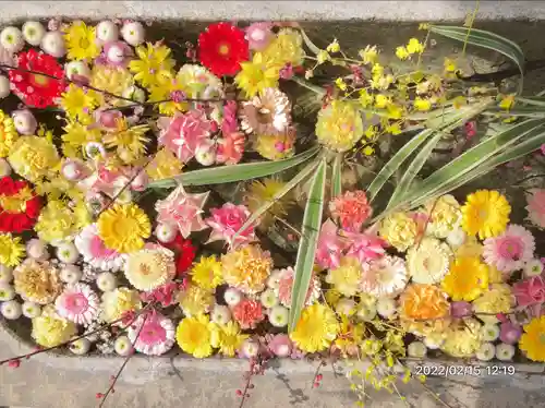 甲宗八幡宮(福岡県)