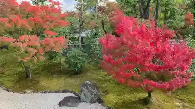 相国寺（相国承天禅寺）(京都府)