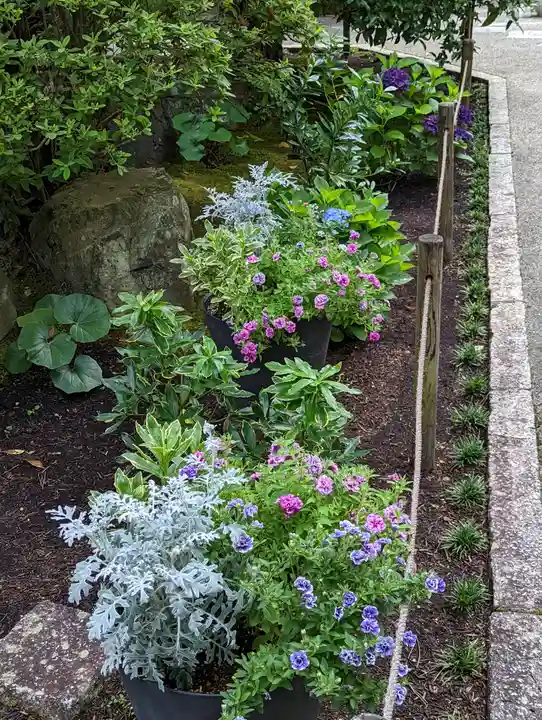 一條殿 新善光寺(京都府)