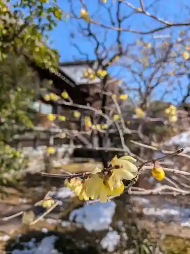 高円寺(東京都)