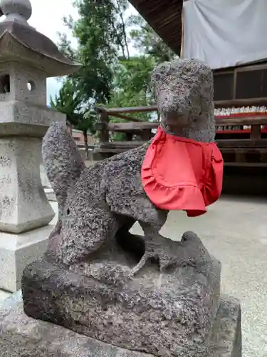 門田稲荷神社の狛犬