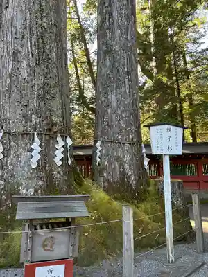 日光二荒山神社(栃木県)