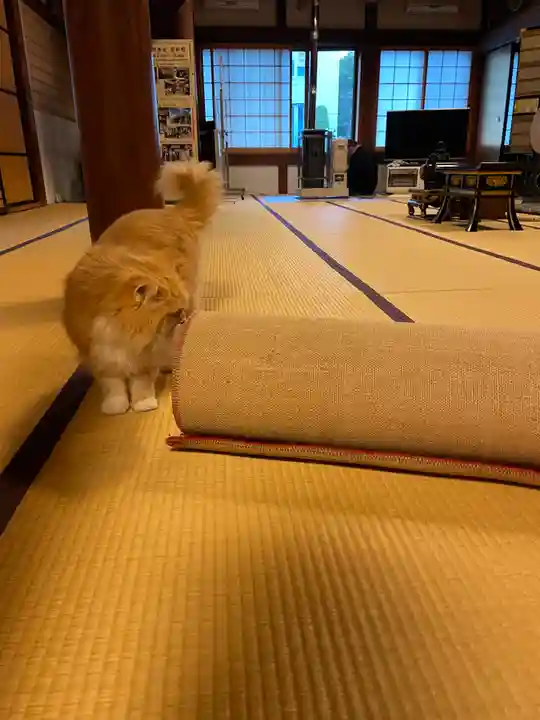 當光寺(東京都)