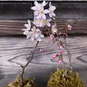 高司神社〜むすびの神の鎮まる社〜(福島県)(2023年03月22日(水) 10時02分36秒投稿)