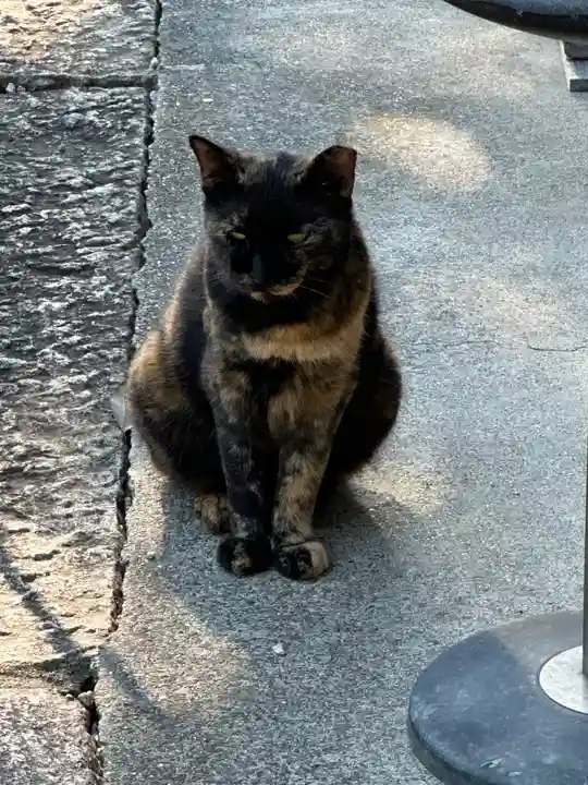 神館神社の動物