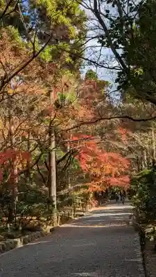 龍安寺(京都府)