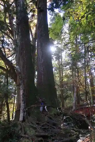 貴船神社の自然
