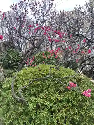 薬師院(神奈川県)