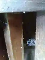 加多志波神社(福井県)