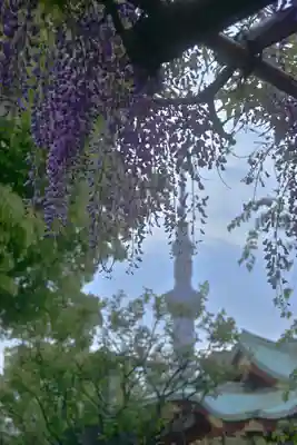 亀戸天神社(東京都)