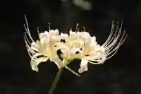 国宝 大法寺(長野県)