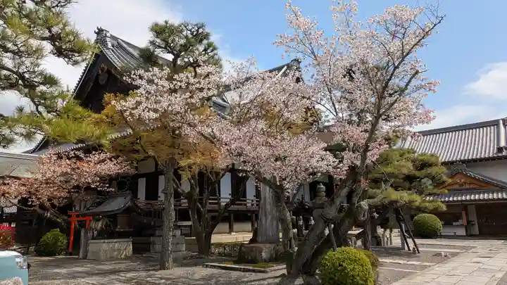 清浄華院(京都府)