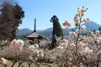 国宝 大法寺(長野県)