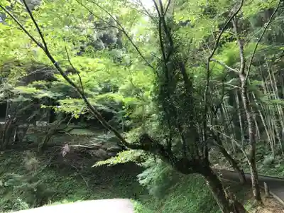 臼杵石仏(大分県)