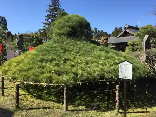 大聖寺（土浦大師不動尊）の庭園