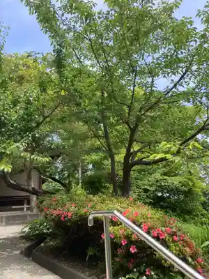 黙仙寺(神奈川県)