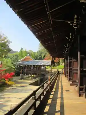 光明寺（粟生光明寺）の本殿・本堂