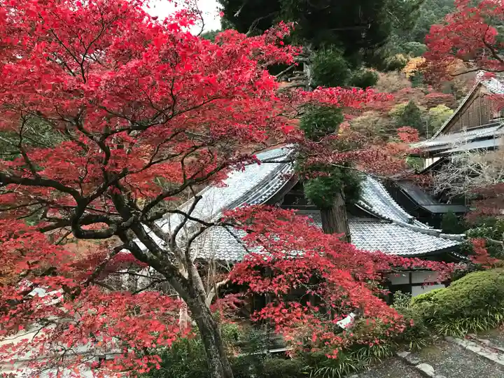 善峯寺(京都府)