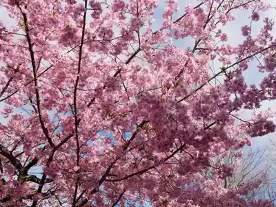 米之宮浅間神社の自然