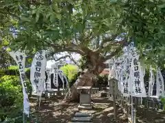 龍口明神社の自然