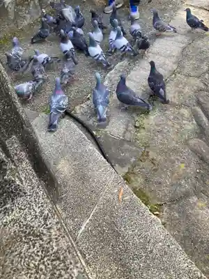 平塚八幡宮(神奈川県)