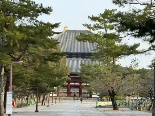 東大寺(奈良県)