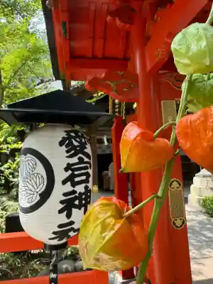 愛宕神社の山門・神門