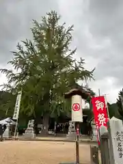 賀羅加波神社の建物その他