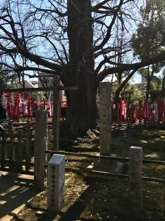 鬼子母神堂 (法明寺)の自然