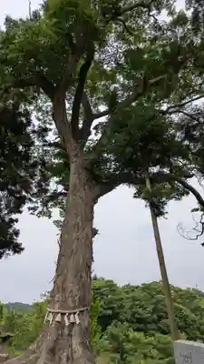阿久津「田村神社」（郡山市阿久津町）旧社名：伊豆箱根三嶋三社(福島県)