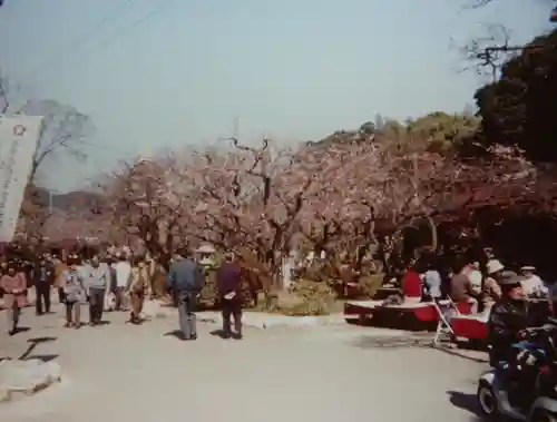 太宰府天満宮の自然