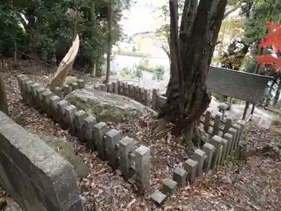 末刀岩上神社の自然