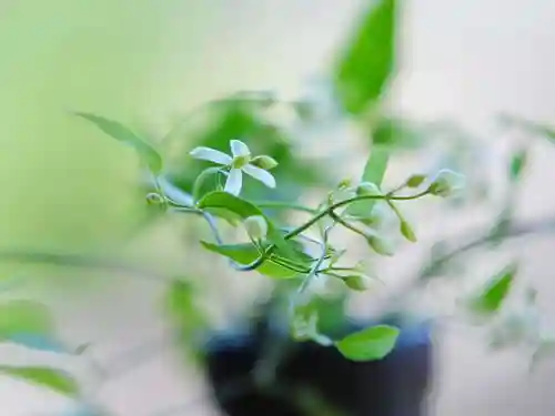 浄土寺(兵庫県)