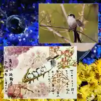 法輪寺の御朱印