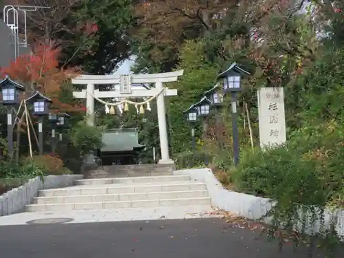 星川杉山神社の鳥居