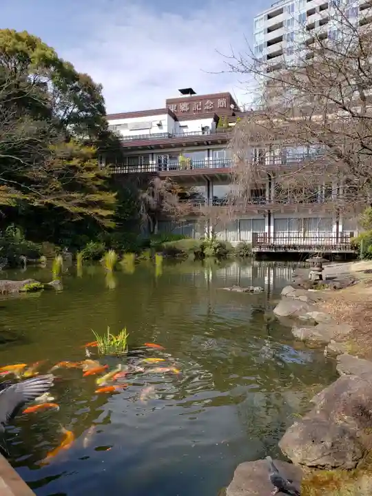 東郷神社の庭園