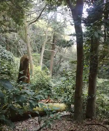 高尾山薬王院の周辺