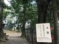 世田谷八幡宮(東京都)