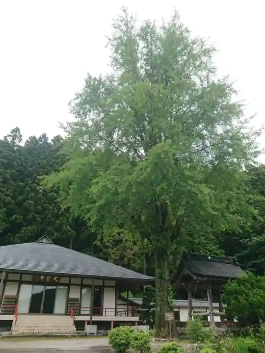 大聖寺の本殿・本堂