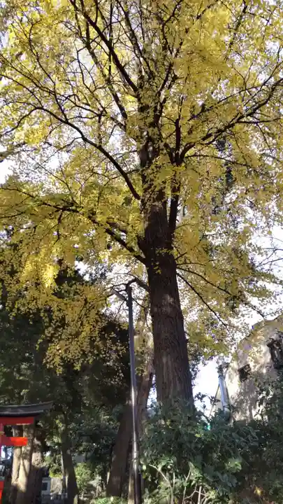 淨眞寺(東京都)